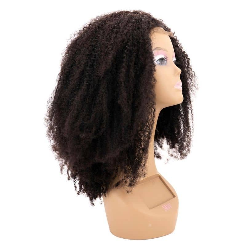 QueenAura™ Afro Kinky Curly Lace Wig – Natural Volume Collection 👑